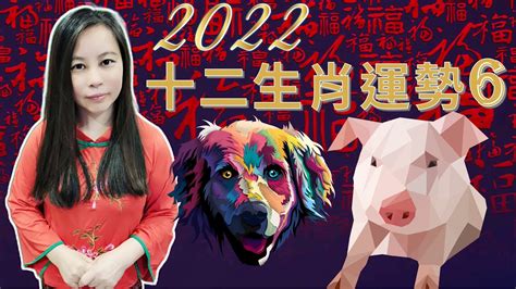 豬 運勢|屬豬出生年份+2024今年幾多歲？屬豬性格特徵+最新。